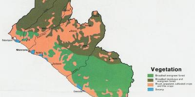 Mapa landaretza mapa Liberia